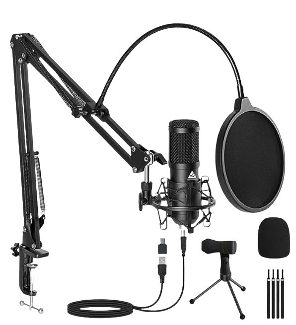 best micrrophones under 3000 rs