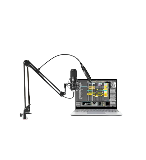Best microphones under 3000