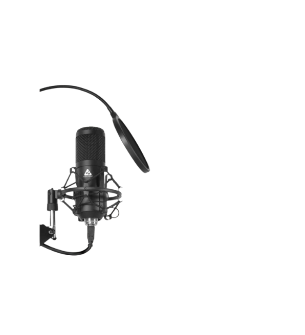 Best microphones under 3000
